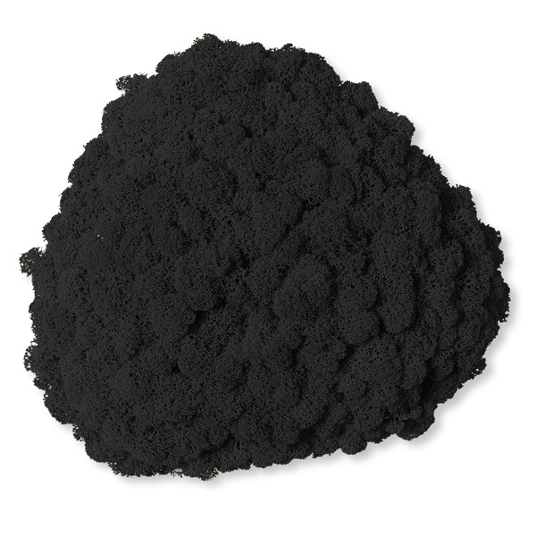 NMS200C99���̲��ݥ���ƥꥢ������⥹����������S�������������ܥ�֥�å���260��270��100mm�����߸˸¤� ���������Ӹ���