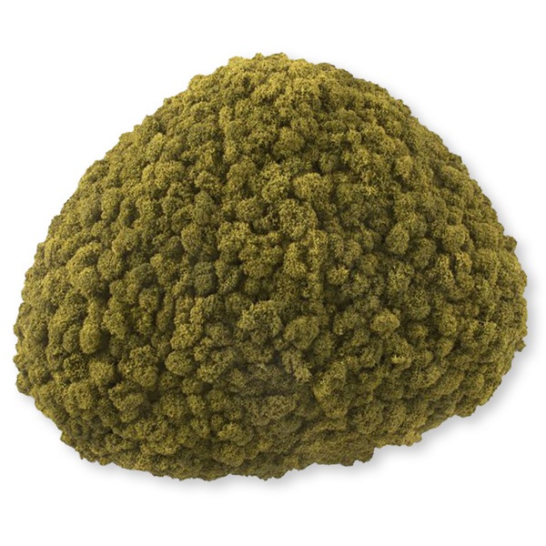 NMS201G13���̲��ݥ���ƥꥢ������⥹����������M���������饤�॰�꡼��360��440��120mm�����߸˸¤� ���������Ӹ���