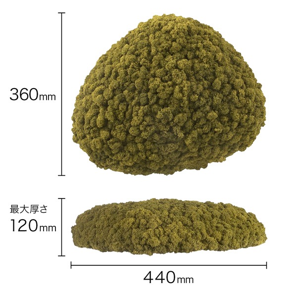 NMS201G13���̲��ݥ���ƥꥢ������⥹����������M���������饤�॰�꡼��360��440��120mm�����߸˸¤� ���������Ӹ���