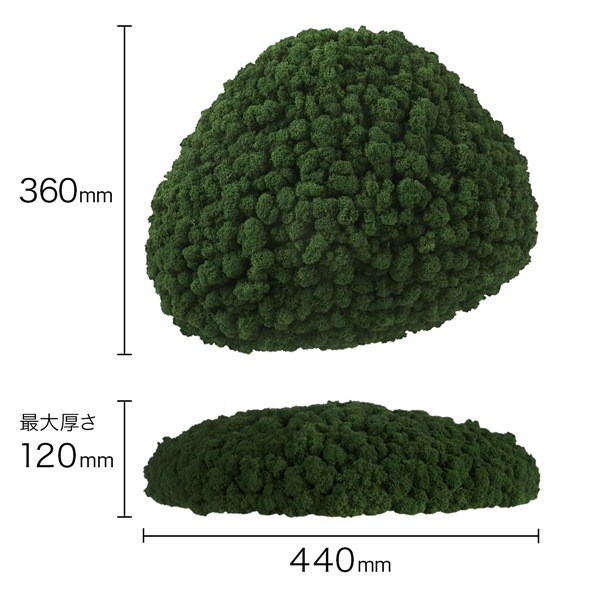 NMS201G26���̲��ݥ���ƥꥢ������⥹����������M���������꡼�ե��꡼��360��440��120mm�����߸˸¤� ���������Ӹ���