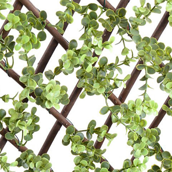 NIG301åե꡼ƥʻê͹տʪĥ100200cm