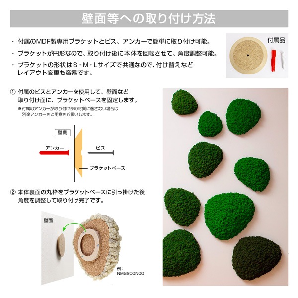 NMS201Y06���̲��ݥ���ƥꥢ������⥹����������M������������������360��440��120mm�����߸˸¤� ���������Ӹ���