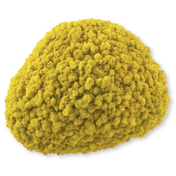 NMS201Y06���̲��ݥ���ƥꥢ������⥹����������M������������������360��440��120mm�����߸˸¤� ���������Ӹ���