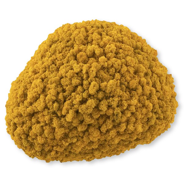 NMS201Y10���̲��ݥ���ƥꥢ������⥹����������M���������ե����륤��������360��440��120mm�����߸˸¤� ���������Ӹ���