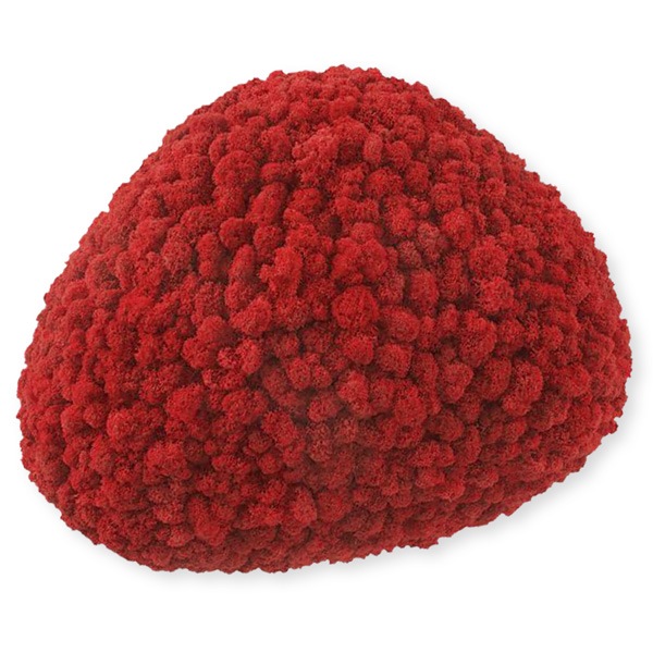 NMS201R11���̲��ݥ���ƥꥢ������⥹����������M����������åɡ�360��440��120mm�����߸˸¤� ���������Ӹ���