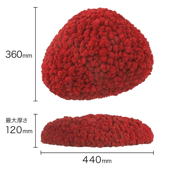 NMS201R11���̲��ݥ���ƥꥢ������⥹����������M����������åɡ�360��440��120mm�����߸˸¤� ���������Ӹ���