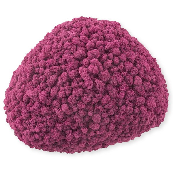 NMS201F45���̲��ݥ���ƥꥢ������⥹����������M���������ե����㡡360��440��120mm�����߸˸¤� ���������Ӹ���