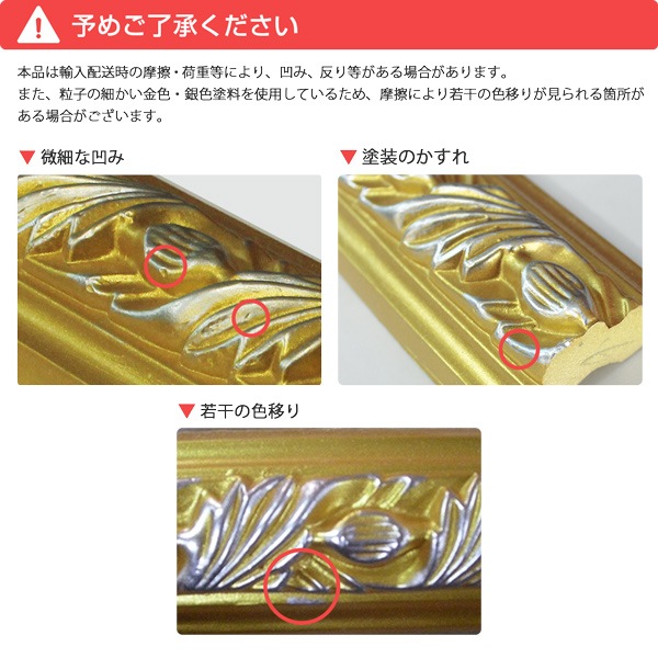 NMJM2021GS-APUʡե졼ࡡǥ⡼롡ɡС 25525528mm