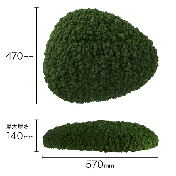 NMS202G26���̲��ݥ���ƥꥢ������⥹����������L����������ݥե��꡼��470��570��140mm�����߸˸¤� ���������Ӹ���