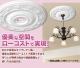 NMG202PUꥪ󡡥ǥꥢࡡɡŷǥ⡼롡ľ615mm