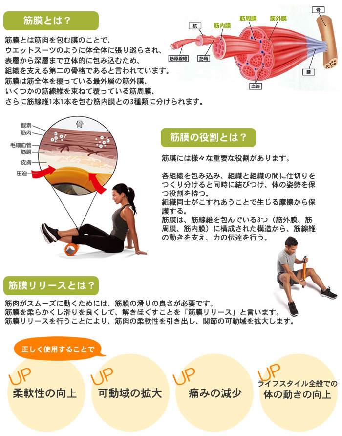 トリガーポイントマニュアル I・II トリガーポイント・マニュアルI II