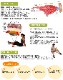 �������ʡۥȥꥬ���ݥ���� ����åɥȥ�٥� ����ѥ��ȥ����� [NKPS_NO] 22131��22132