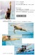 �ե���������ե륯���ѥɥ�ʺ������åȡˡڿ�������Ѷ��FINIS �ե��˥� [NKPS_NO] FOREARM FULCRUM PADDLES [FI-03]�����ʡ����Բġ�