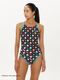 ����˥����� ���� ���������ѿ��� speedo ���ԡ��� ���Υ����ӥ� 2026ǯ/�ղƿ��� STG02603
