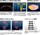 FINA承認モデル クッションなし 競泳用スイムゴーグル 水泳用 ミラーレンズ Sniper スナイパー SWANS スワンズ SR-10M