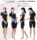 ǥ եåȥͥ µդѥ졼 Ⱦµ 岼å ηС  mihoro style ߥۥ Palette ѥåȡ [NKPS_NO] 343-099