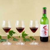 ≪能登ワイン≫2021年産 NselecT ヤマソーヴィニヨン赤ワイン 720ml