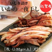 ≪西海水産≫能登 スルメイカ開きイシリ漬（いしりスルメ）　1枚（100g以上）×5セット