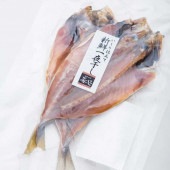 ≪ホクチン≫いしり新鮮一夜 地物あじ(2尾）