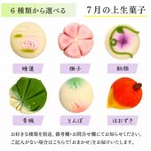 ≪菓匠まつ井≫金沢の和菓子 四季の上生菓子6個セット　お好きな種類が選べます 【石川県 老舗 練りきり 和スイーツ 冷凍 季節 おすすめ 通販 お取り寄せ ギフト 月替り 詰め合わせ キレイ 可愛い 美味しい 白あん】
