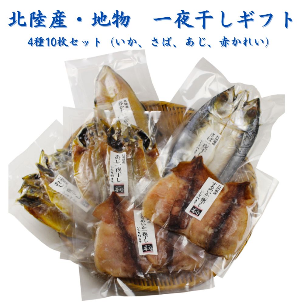 ≪ホクチン≫北陸産・地物 一夜干しギフト 4種10枚セット（いか、さば、あじ、赤かれい）【ネット限定品 能登伝統の魚醤油 冷凍 いしり醤油 能登 魚醤 酒の肴 旨味成分 贈り物】