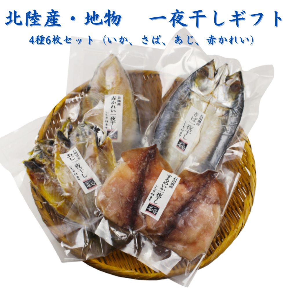 ≪ホクチン≫ 北陸産・地物 一夜干しギフト 4種6枚セット（いか、さば、あじ、赤かれい） 【ネット限定品 能登伝統の魚醤油 冷凍 いしり醤油 能登 魚醤 酒の肴 旨味成分 贈り物】