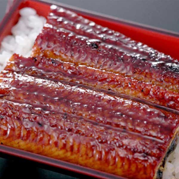 ≪金沢浅田屋≫国産うなぎ蒲焼（大）