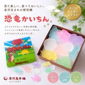 ≪石川屋本舗≫金沢の琥珀糖 恐竜かいちん