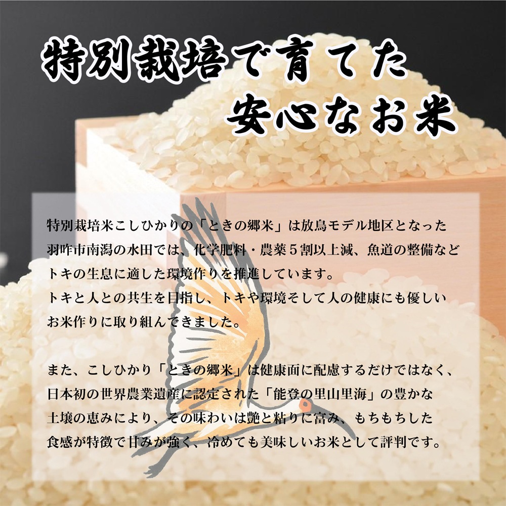 ≪いい道の駅 のと千里浜≫特別栽培こしひかり「ときの郷米」精米 3kg／10kg 【ブランド米 能登 里山里海 日本海 白米 寿司 おこわ リゾット お取り寄せ 旨味 羽咋市産】