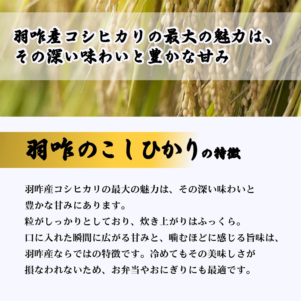 ≪いい道の駅 のと千里浜≫特別栽培こしひかり「ときの郷米」精米 3kg／10kg 【ブランド米 能登 里山里海 日本海 白米 寿司 おこわ リゾット お取り寄せ 旨味 羽咋市産】