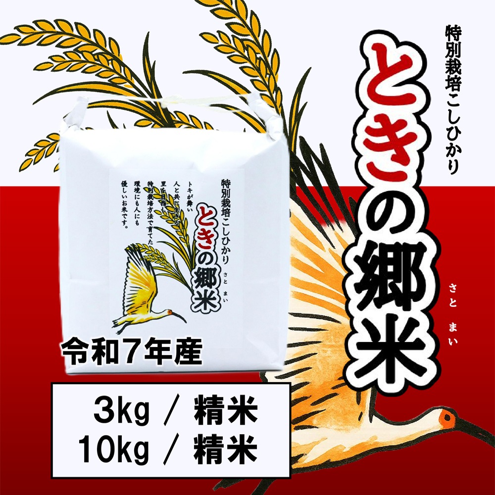 ≪いい道の駅 のと千里浜≫特別栽培こしひかり「ときの郷米」精米 3kg／10kg 【ブランド米 能登 里山里海 日本海 白米 寿司 おこわ リゾット お取り寄せ 旨味 羽咋市産】