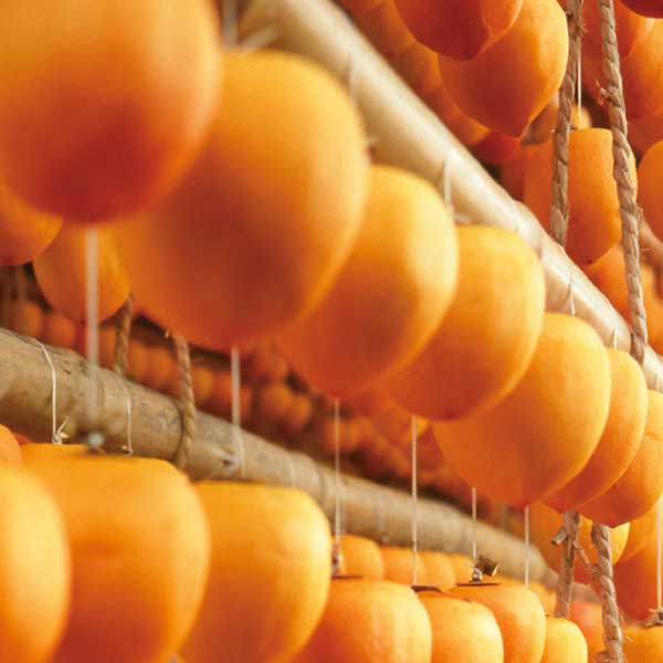 ≪サカイダフルーツ≫能登のころ柿のお酒（リキュール）300ml【リキュール 能登柿 ころ柿 果実酒 ソーダ割り 通販 お取寄せ】