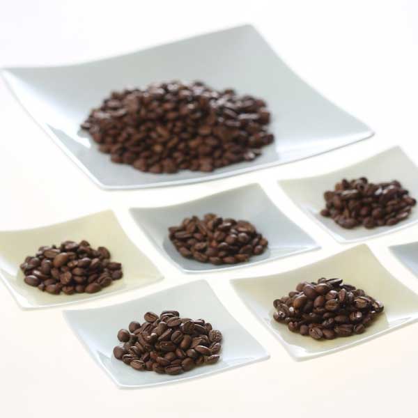 ≪ダートコーヒー≫ 加賀焼KAGAYAKU オリジナルブレンド 粉 270g 【コーヒー豆 レギュラーコーヒー 焙煎 ブラジル ホンジュラス ブラジルサントス商工会議所認定 コーヒー鑑定士】