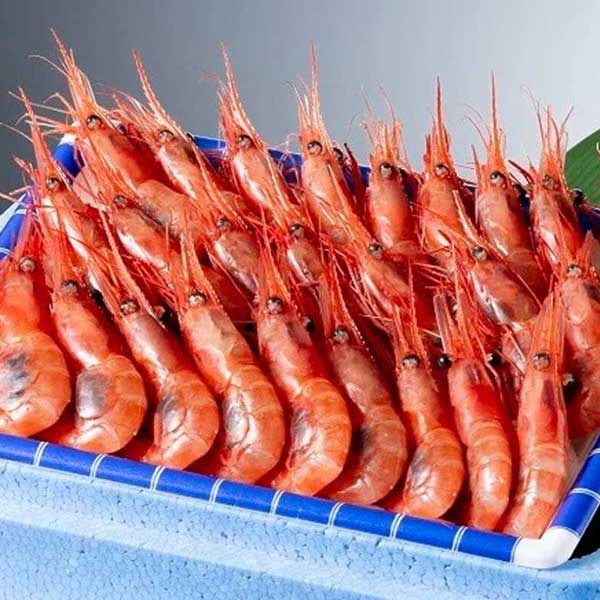 ≪ヤマカ水産≫生甘えび25尾