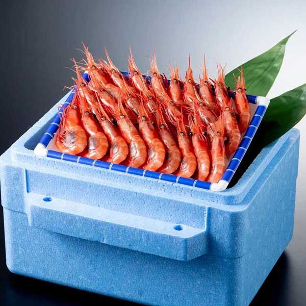 ≪ヤマカ水産≫生甘えび25尾