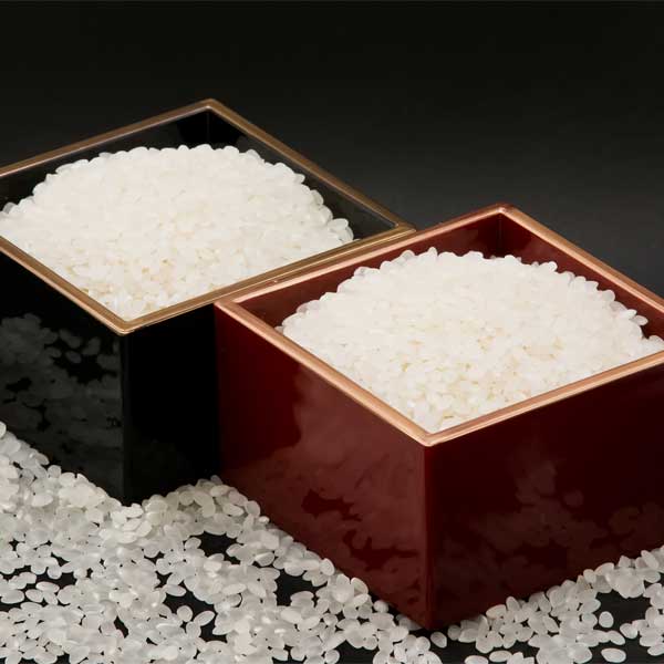 ≪JAいなば≫令和7年産 メルヘン米コシヒカリ 3kg(精米)【富山県 小矢部市】