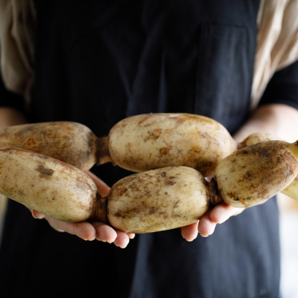 ≪サカイダフルーツ≫〈石川百右衛門〉加賀レンコンチップス【石川県 れんこん 加賀れんこん 加賀野菜 通販 お取寄せ】