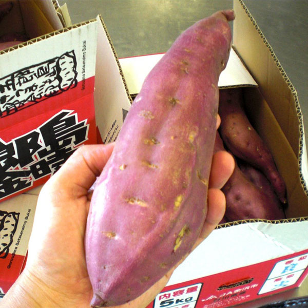 ≪よもぎ万頭 のと屋≫石川県産 五郎島金時使用 浮月（うきづき） 【期間限定 さつまいも いもあん ココナッツパウダー お取寄せ 通販】