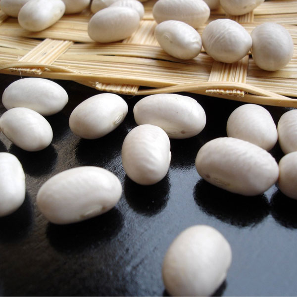 ≪よもぎ万頭 のと屋≫石川県産 五郎島金時使用 浮月（うきづき） 【期間限定 さつまいも いもあん ココナッツパウダー お取寄せ 通販】