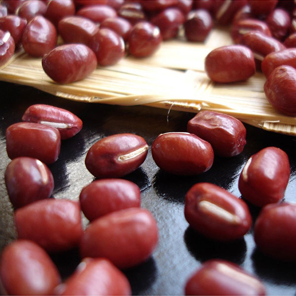 ≪よもぎ万頭 のと屋≫生菓子 よもぎ万頭 【よもぎまんじゅう 蒸し饅頭 名産 あんこ 通販 お取り寄せ】