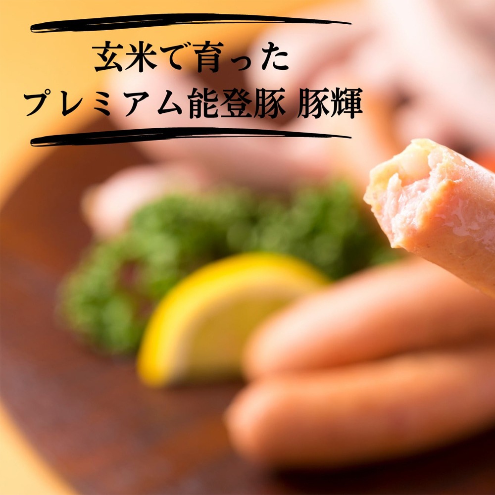 ≪いい道の駅 のと千里浜≫いい道の駅 能登豚ソーセージ「豚輝」 3種セット【能登豚 ソーセージ  能登 お取り寄せ】