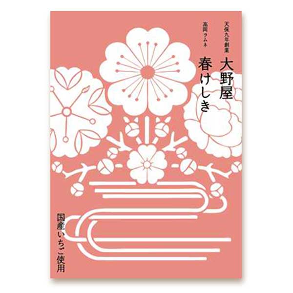 ≪大野屋≫高岡ラムネ【高岡名物 銘菓 大人のラムネ 大人向け 手土産 和菓子 職人の技 手作り 米粉 伝統 プチギフト お取り寄せ 通販】