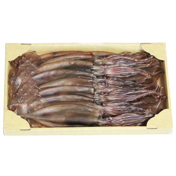 ≪西海水産≫能登 もみいか（丸干しいか）500g