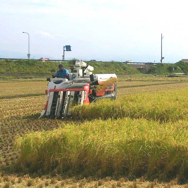 ≪JA能美≫令和7年度産 こだわり減農薬有機肥料米 姫九谷 精米 10kg【新米 能美市 石川県 オリジナル肥料使用】