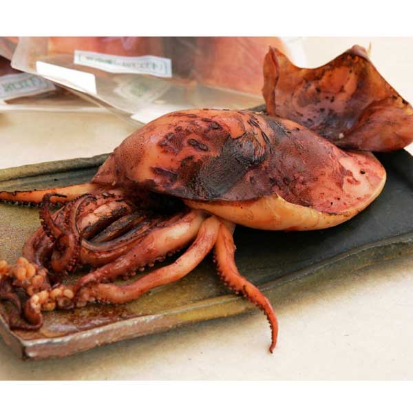 ≪西海水産≫能登 いかづくしセット