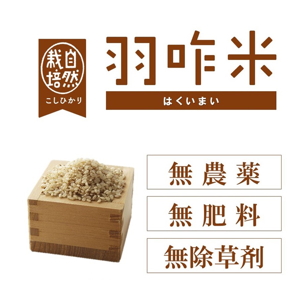 ≪いい道の駅 のと千里浜≫オリジナル 自然栽培羽咋米を使ったパスタ麺【自然栽培米  能登 お取り寄せ】