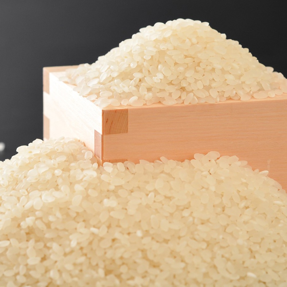 ≪いい道の駅 のと千里浜≫オリジナル 自然栽培羽咋米を使ったパスタ麺【自然栽培米  能登 お取り寄せ】