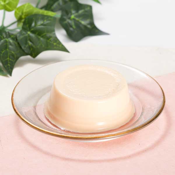 ≪ホリ乳業≫金澤プリン【プレミアム 濃厚 牧場牛乳 無添加 石川県河北潟 石川県羽咋産卵 ミルクたっぷり 夢ミルク館 お土産 お取り寄せ 通販】