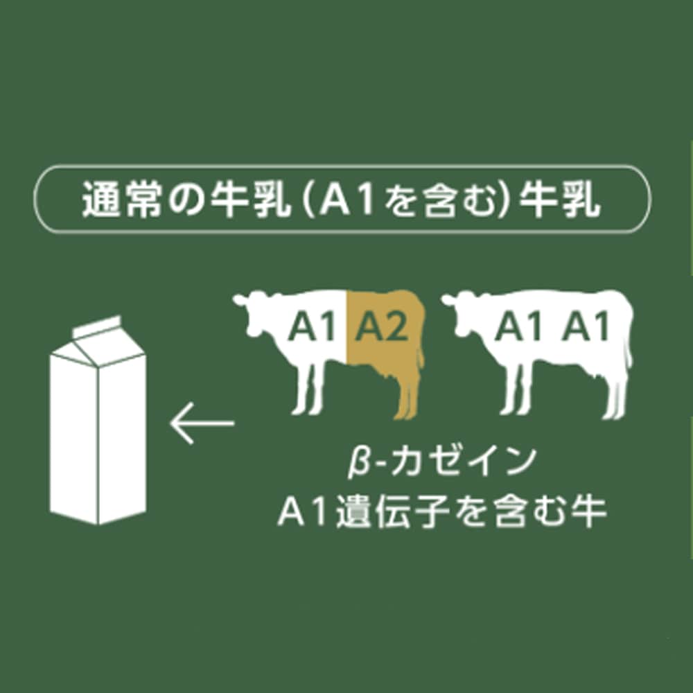 ≪ホリ乳業≫ 河北潟A2牧場牛乳1000ml 6本 【石川県 A2ミルク 日本A2ミルク協会認定 牛乳新時代 話題 牧場牛乳 成分無調整、生乳100%使用】