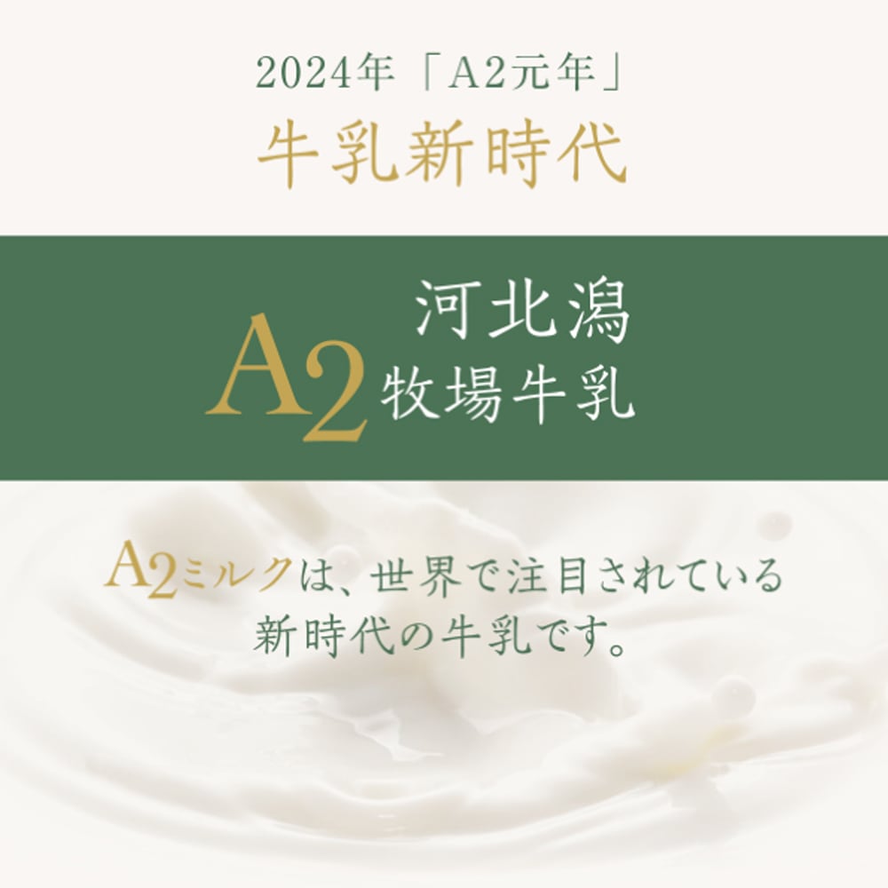 ≪ホリ乳業≫ 河北潟A2牧場牛乳1000ml 6本 【石川県 A2ミルク 日本A2ミルク協会認定 牛乳新時代 話題 牧場牛乳 成分無調整、生乳100%使用】